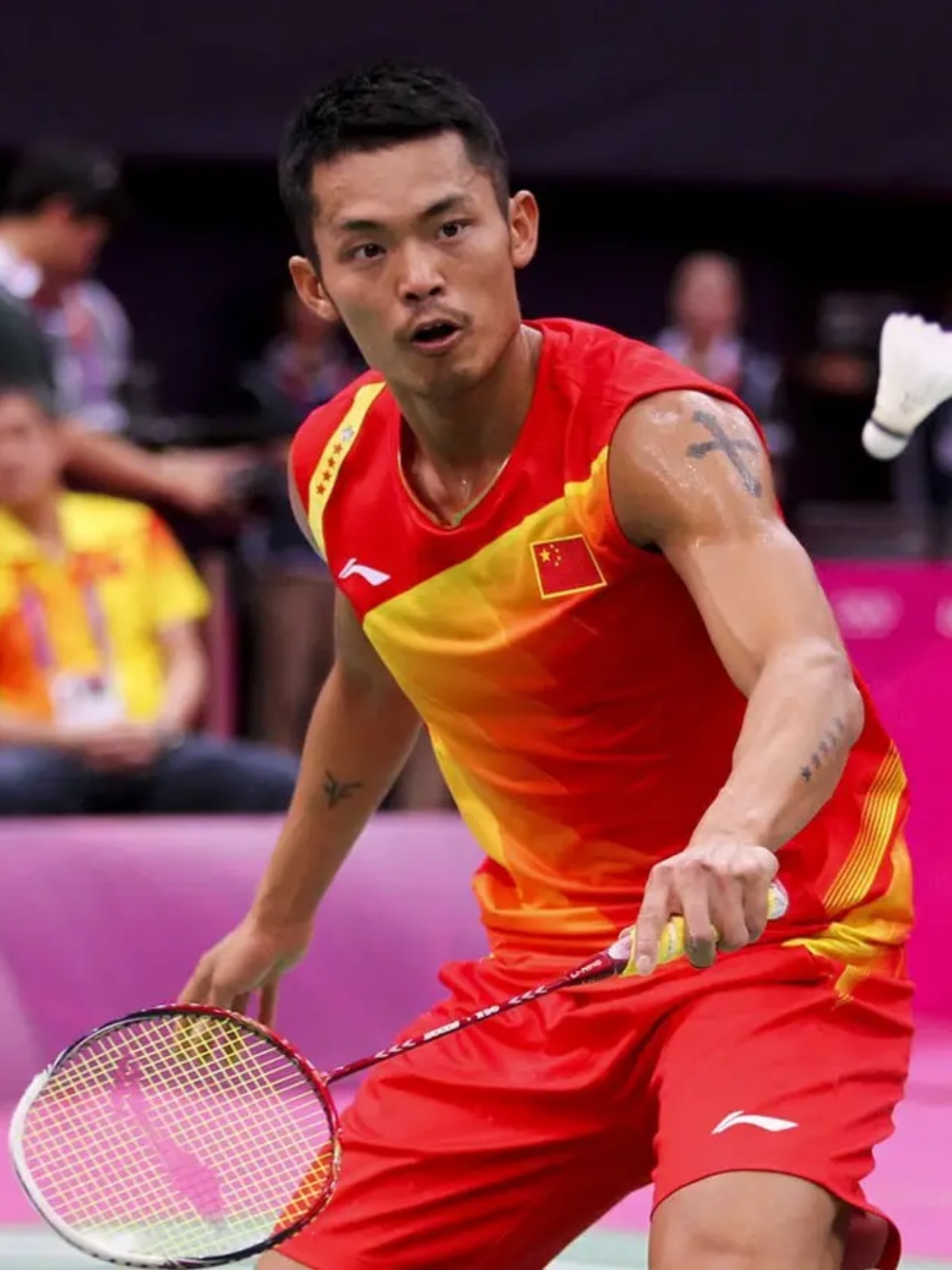 度名声大噪 度名声大噪